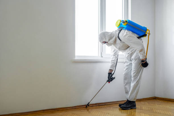 Best Pest Control for Hotels  in Trinity, TX